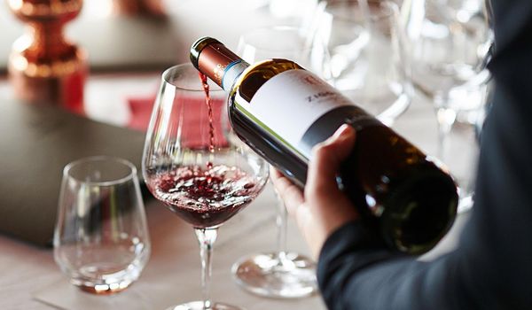 Медики сравнили красное и белое вино в контексте пользы и вреда для организма