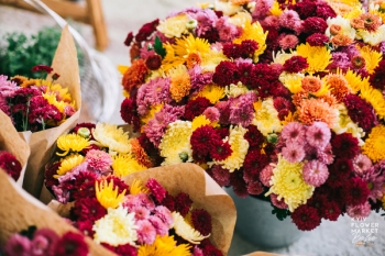 Kyiv Flower Market Boho: самое теплое и атмосферное мероприятие этой осени