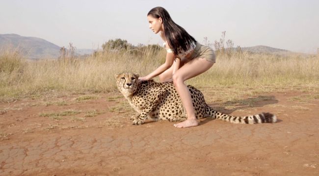 Сексуально и опасно: My Ree в клипе "Дико танцевать" снялась с дикими животными