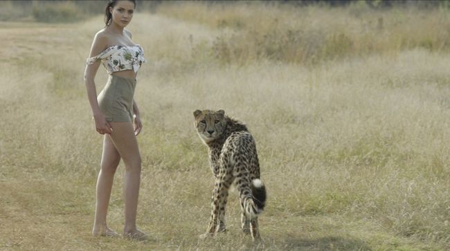 Сексуально и опасно: My Ree в клипе "Дико танцевать" снялась с дикими животными
