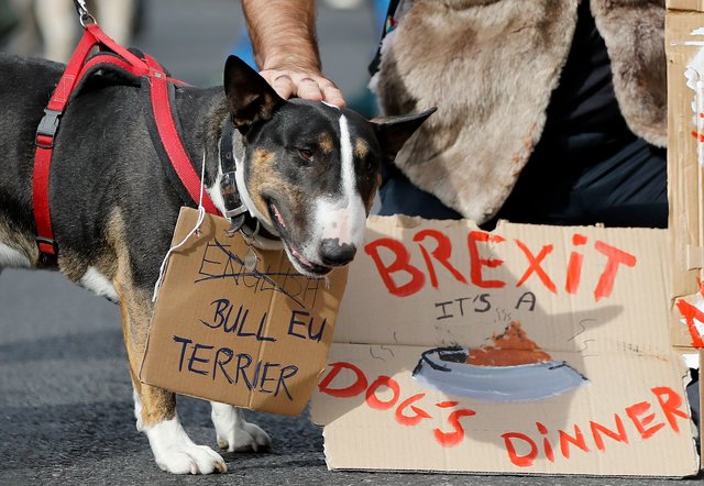 В Лондоне собаки "вышли" на протест против Brexit