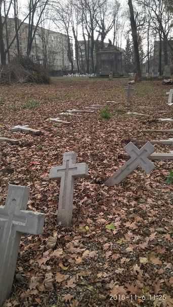 В Коломые повалили кресты на польском кладбище, активистка говорит о провокации