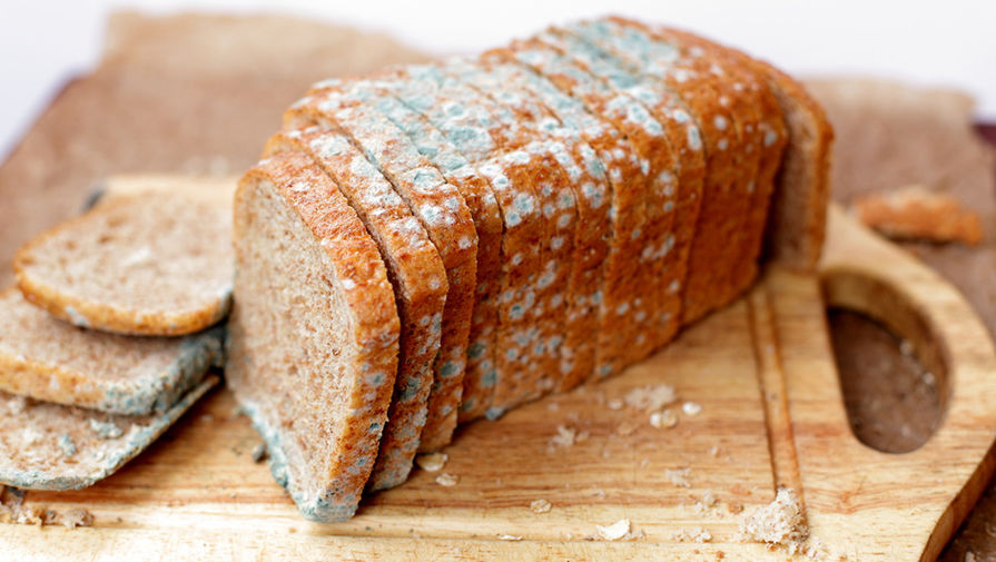 Как влияет на человека плесень на хлебе