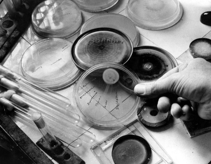 Рентген и пенициллин: 6 случайных изобретений, которые изменили мир