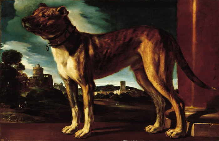 Косоглазый Гверчино и его собаки: Как художник-самоучка пробился к вершинам итальянского барокко 
