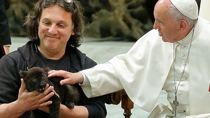 Почему католическая церковь не любила кошек в Средние века, и как живётся мурлыкам в Ватикане сегодня 