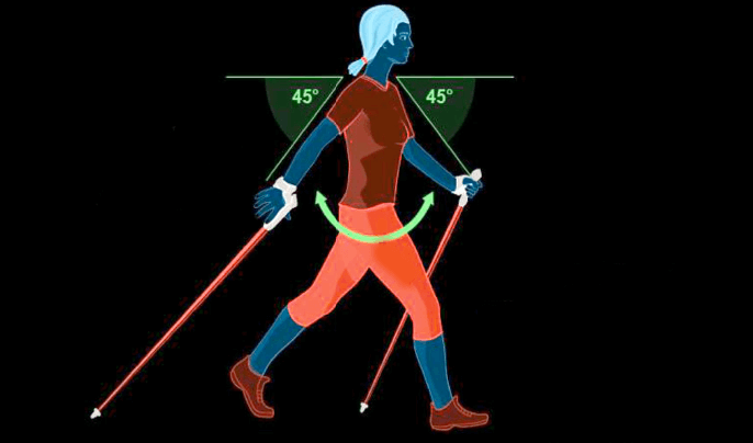 Скандинавская ходьба – в чем польза? Правильная техника скандинавской ходьбы