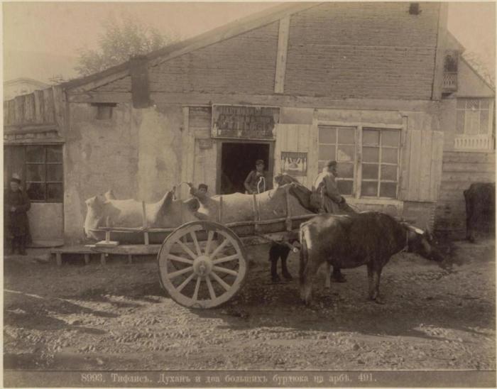 Жизнь на Кавказе в XIX веке на старинных фотографиях легендарного этнографа Дмитрия Ермакова