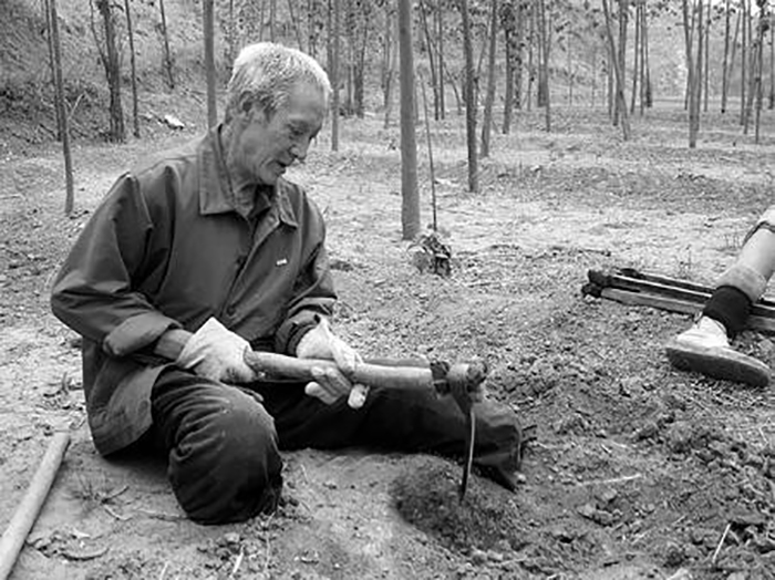 Безногий ветеран посвятил всю свою жизнь выращиванию леса