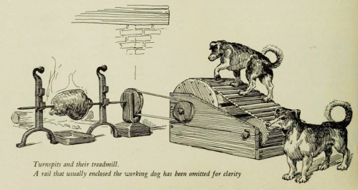 Чем занимались вертельные собаки и за что их ценили на протяжении 200 лет 