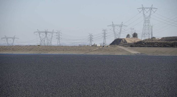 «Черное поле»: зачем власти Лос-Анджелеса высыпали 96 млн шаров в водохранилище