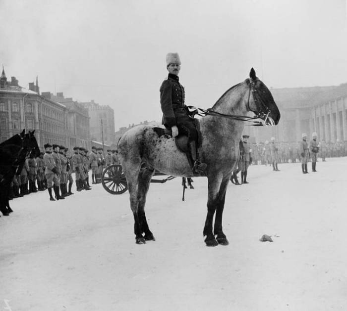 Что подтолкнуло финнов к совершению терактов в Петрограде, и чего они добивались