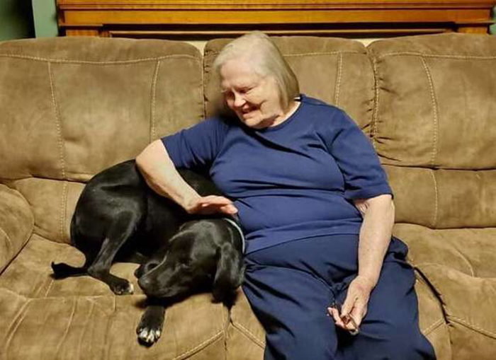 Пожилая женщина недолюбливала бездомного пса, а он спас ей жизнь