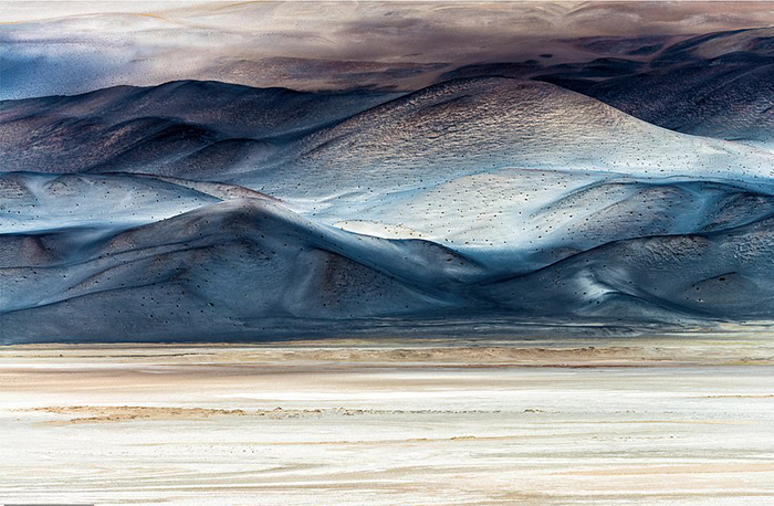 Русский медведь и флиртующий тетерев: Лучшие фотографии конкурса BigPicture