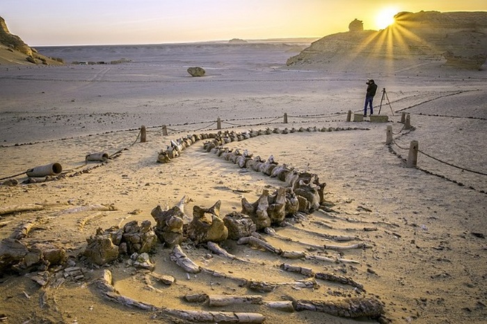 10 секретов пустыни Сахара, которые раскрыли современные археологи