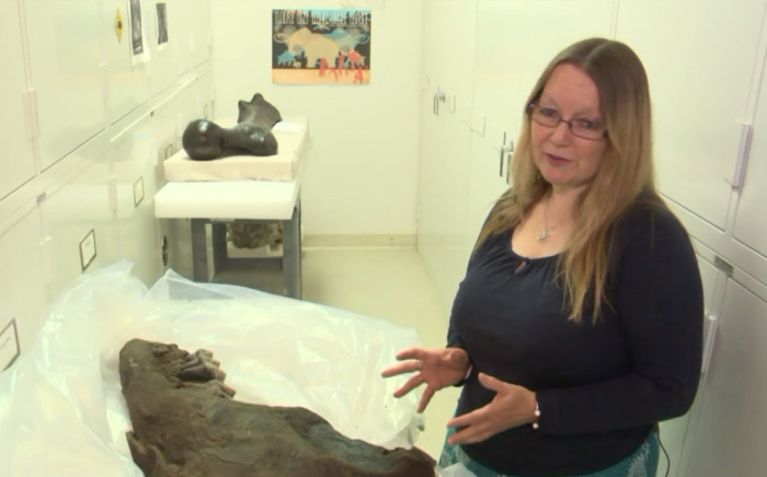 Подросток искал старинные наконечники стрел, а нашел останки доисторического животного