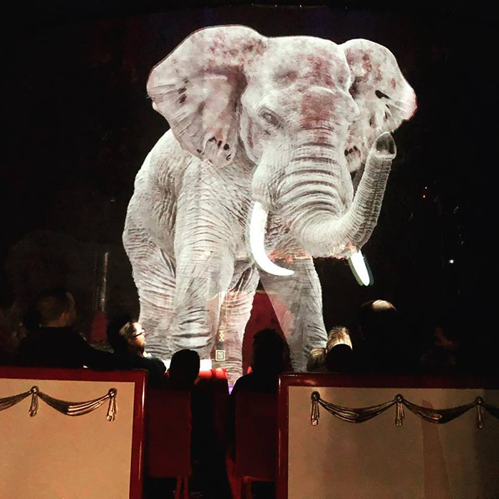 В немецком цирке вместо живых зверей стали использовать голограммы
