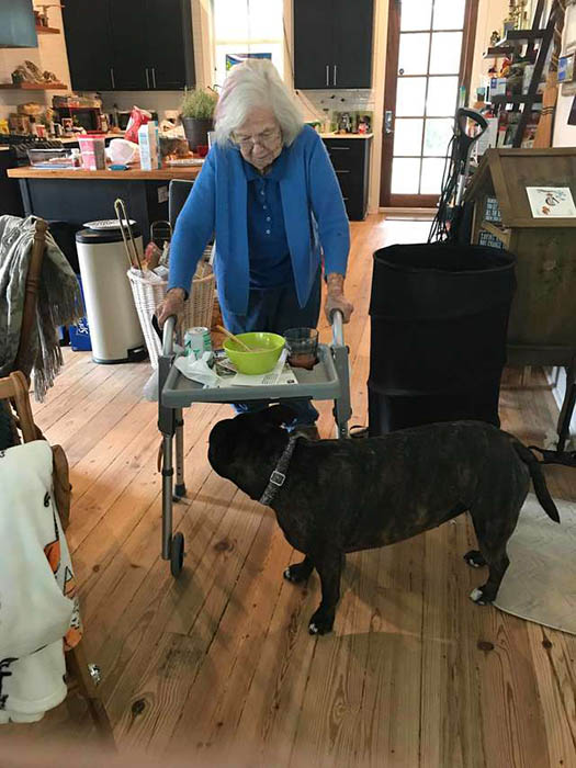 Самая заботливая в мире собака: Как уличный пёс стал помощником для 99-летней женщины