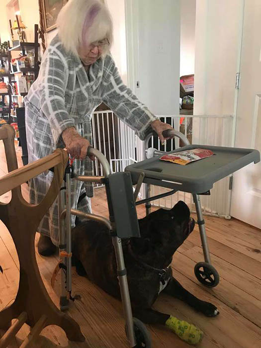 Самая заботливая в мире собака: Как уличный пёс стал помощником для 99-летней женщины