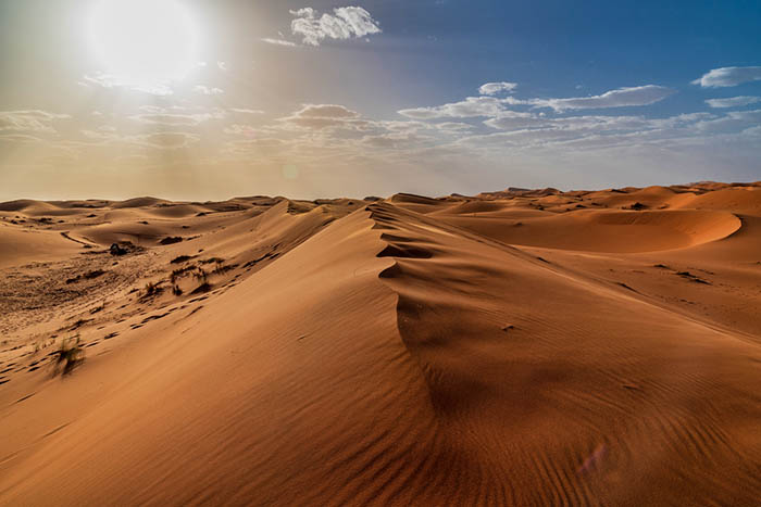 Тайные знания бедуинов: Как люди приспособились к выживанию в пустынях