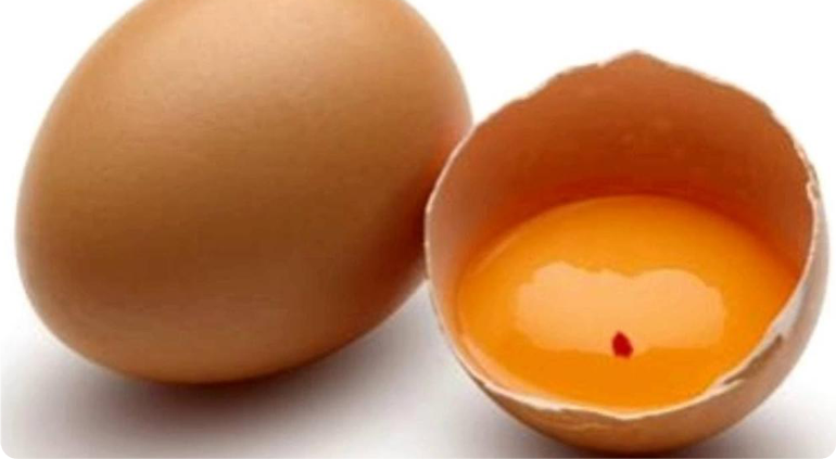 Почему бывают яйца с кровью, и можно ли их есть?