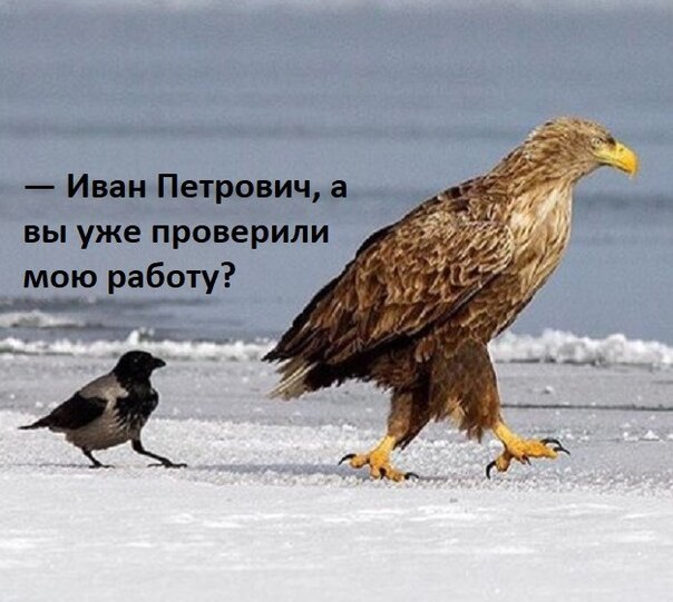Смешные картинки от Урал за 16 августа 2019 на Fishki.net