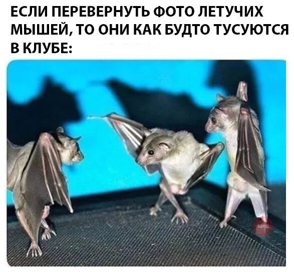 Смешные картинки от Урал за 24 августа 2019 на Fishki.net