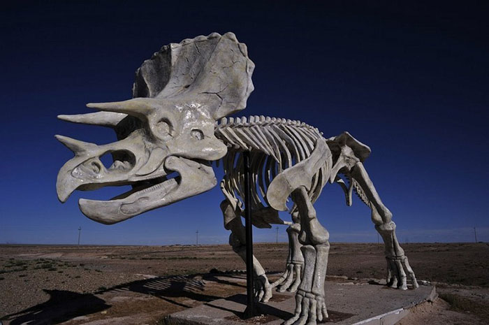 Где можно увидеть целующихся динозавров и подергать за хвост гигантораптора