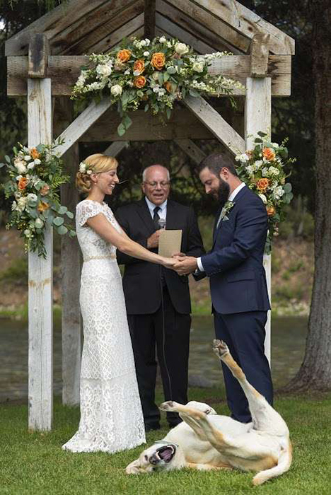 Он, она и олень: Как неожиданная встреча сделала свадебную фотосессию по-настоящему особенной