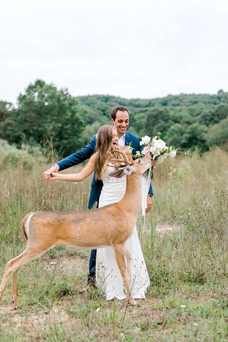 Он, она и олень: Как неожиданная встреча сделала свадебную фотосессию по-настоящему особенной