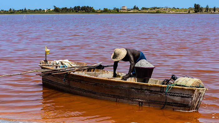 Ретба — розовое озеро, кормящее и губящее местное население