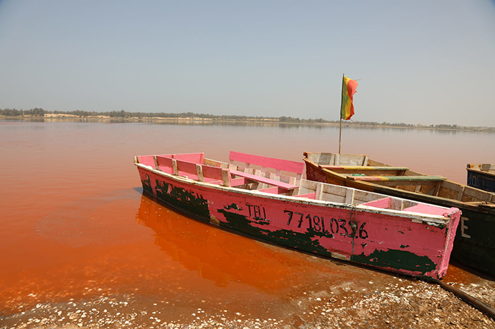 Ретба — розовое озеро, кормящее и губящее местное население