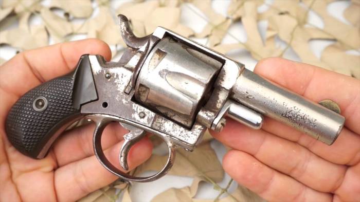 Револьвер «Бульдог»: любимое оружие политических душегубов и революционеров