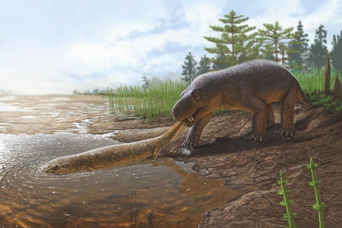 Горыныч существовал: Как выглядел звероящер, останки которого обнаружены в России