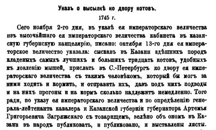 Кот Казанский Алабрыс: Почему его помнят в Эрмитаже, а в Казани ставят памятники как народному герою