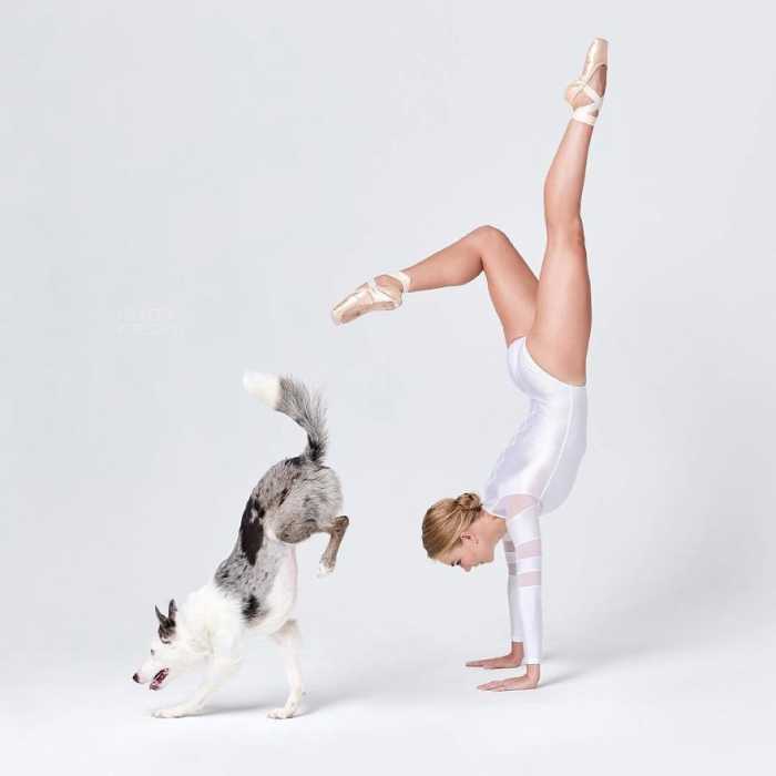 Собаки танцуют балет вместе с артистами: Совместная фотосессия, которая заставит улыбнуться