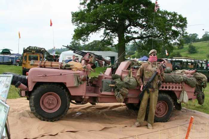 Для чего в войсках используют розовый камуфляж: нетрадиционная маскировка