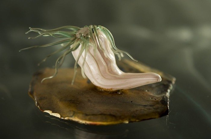 Стеклянные цветы и морские существа: фантастические модели мастеров XIX века