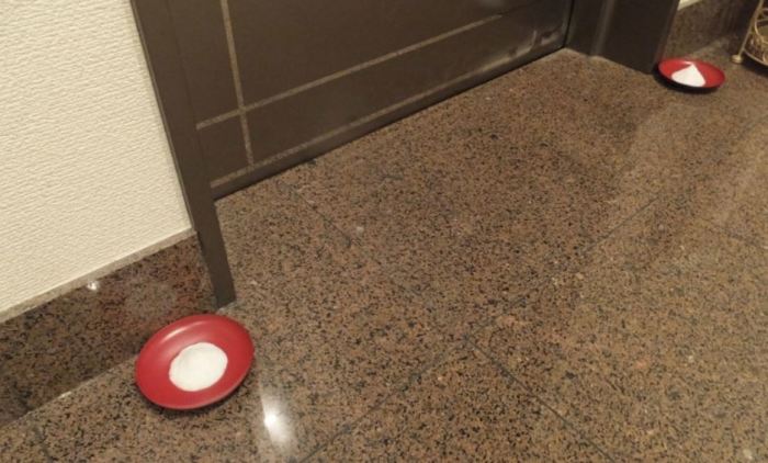 Зачем японцы расставляют в мисочках соль в туалете