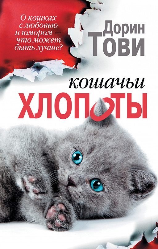 12 замурчательных книг о кошках