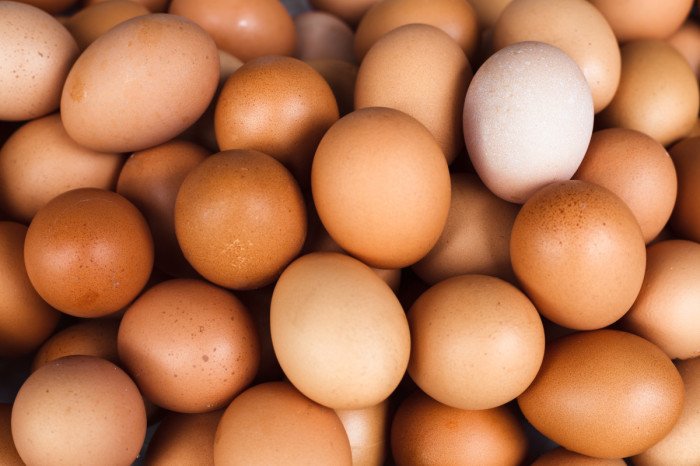 Красное пятно на желтке: можно ли кушать такие яйца