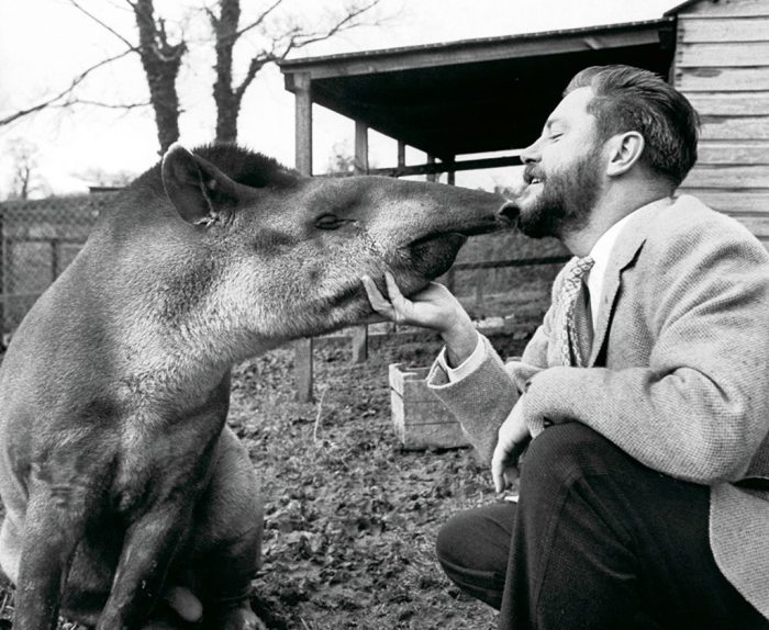 Почему Джеральд Даррелл ценил животных больше, чем людей, и не скрывал этого