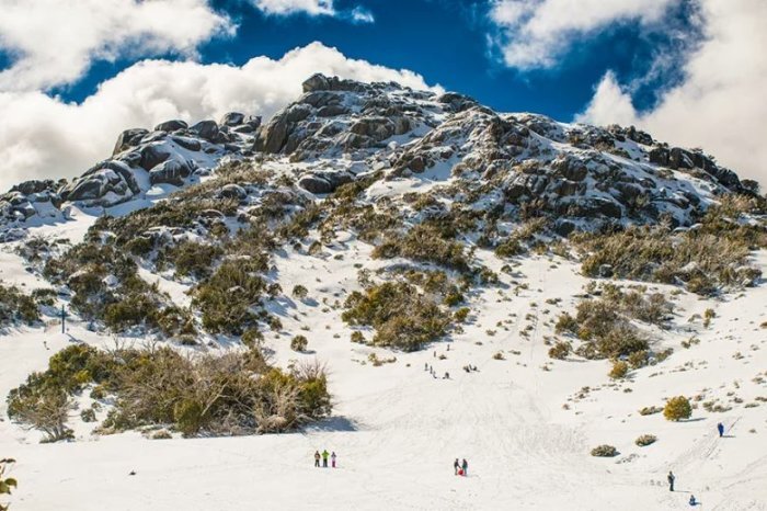 10 вещей, которые есть только в Австралии: Самые снежные горы, дикая собака Динго и др