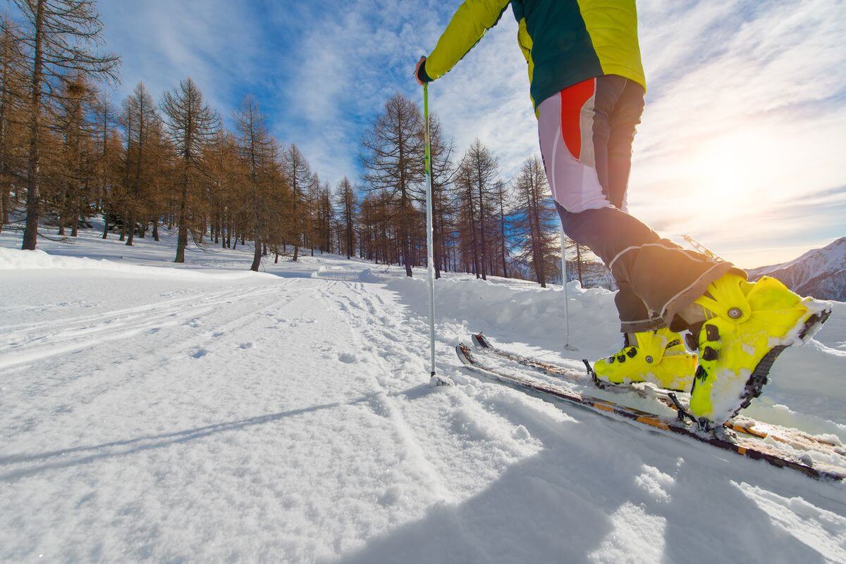 Лыжи для похудения — сжигается до 1200 ккал за 1 тренировку