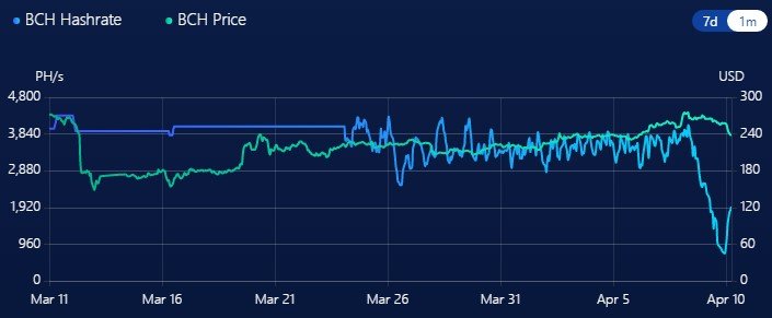 Bitcoin Cash и Bitcoin SV стали уязвимы для атаки 51% после уполовинивания награды майнерам