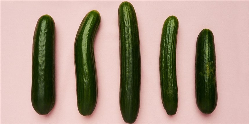 Какие бывают пенисы: размер, длина и другие разновидности