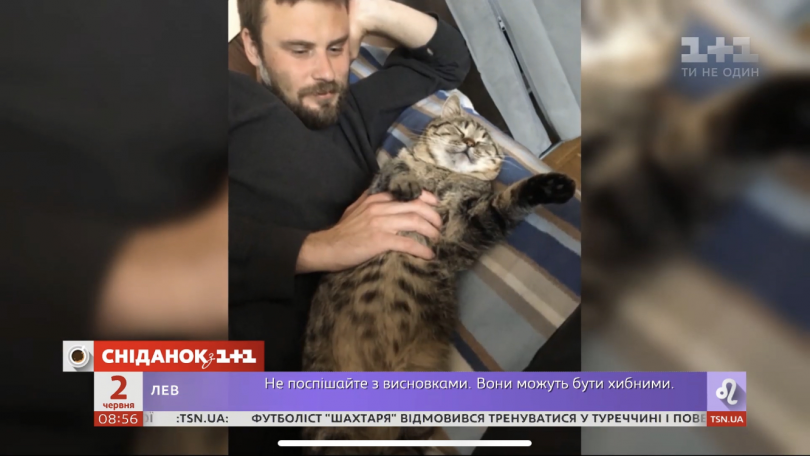 Прелесть! Егор Гордеев показал мимимишного кота, которого забрал с улицы