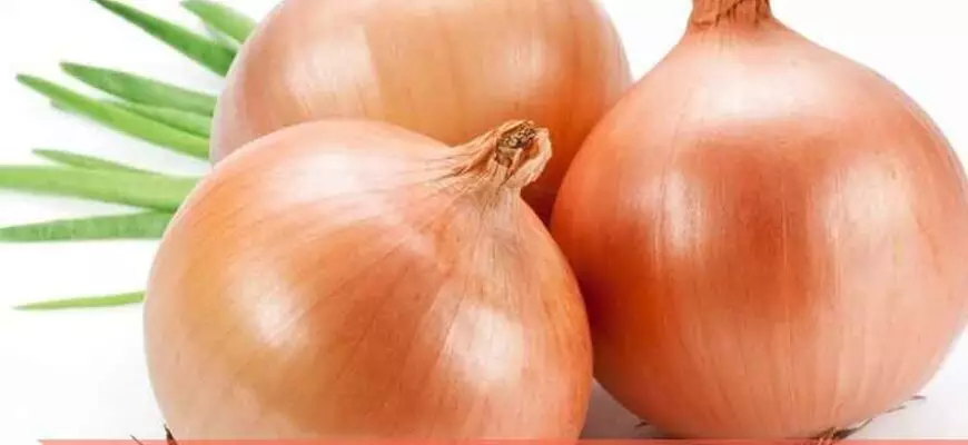 Кому нужно регулярно есть лук